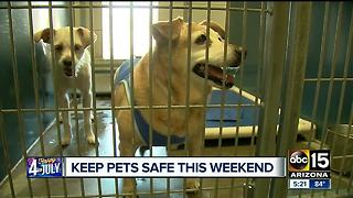 How to make sure pets are safe during July 4th celebrations