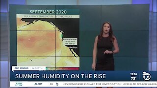 In Depth: Humidity on the Rise in San Diego