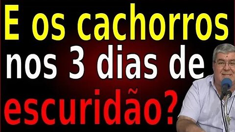 E OS CACHORROS NOS 3 DIAS DE ESCURIDÃO ?