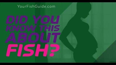 Eating Fish When Pregnant ~ Your Won't BELIEVE This! | A MUST Watch