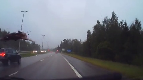 Intense dash cam footage of highway moose collision