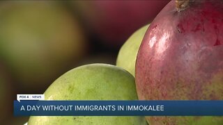 Immakolee croppers feeling impact of new immigration law