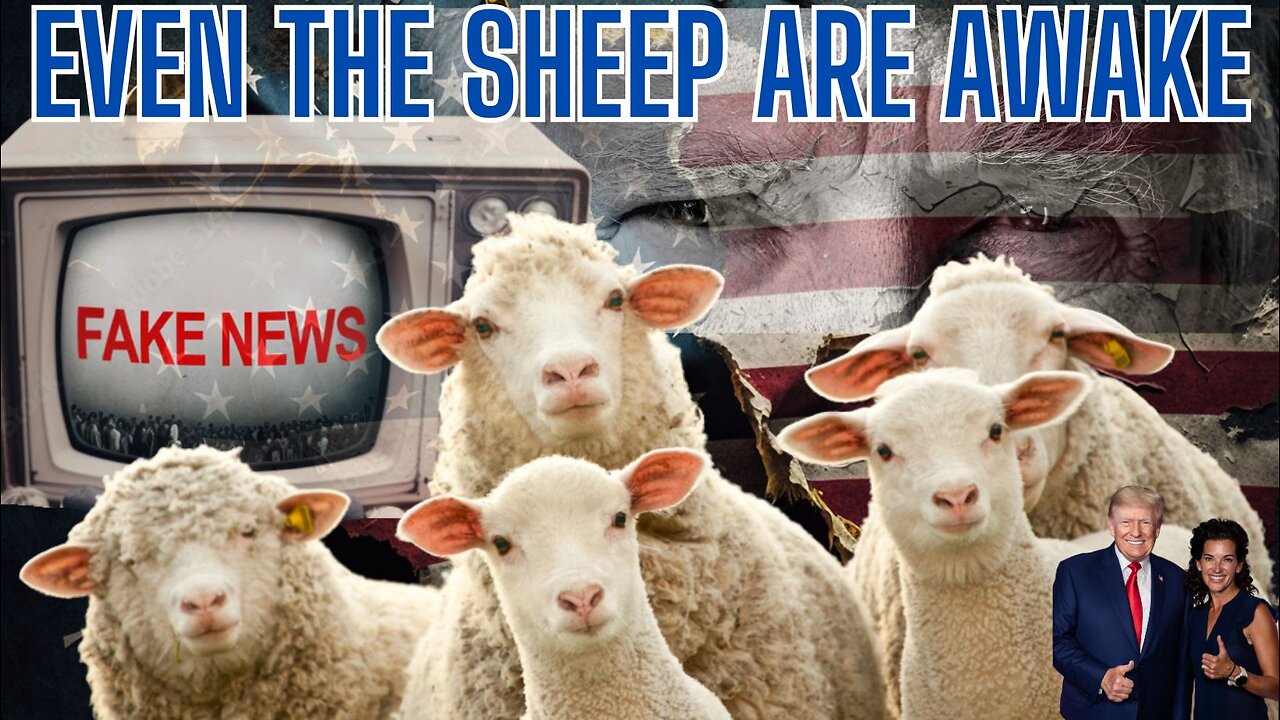 https://rumble.com/v4sfaw0-even-the-sheep-are-awake.html