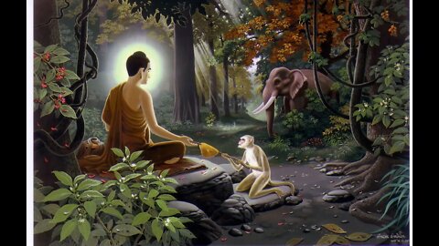 On vegetarianism according to Mahayana sutras and Amida Buddha's indiscriminative salvation