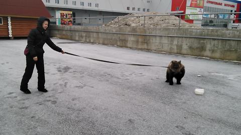 Woman casually takes bear cub for a walk?!