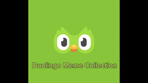 Duolingo Meme Collection