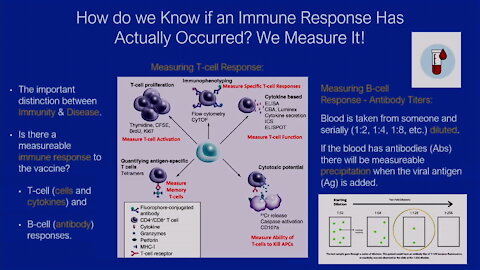 Dr. Fleming - Covid-19 and vaccine-induced ADE (Antibody-Dependent Enhancement)