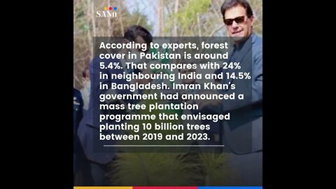Pakistan needs to continue with tree plantation initiative of Imran Khan