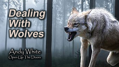 Andy White: Dealing With Wolves
