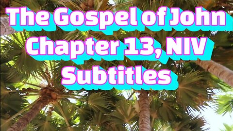 The Holy Bible - The Gospel of John Chapter 13 (Audio Bible - NIV) subtitles