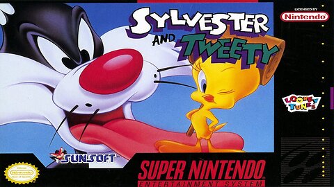 UNRELEASED PROTOTYPE: Sylvester & Tweety for SNES - Platformer with Impressive Graphics