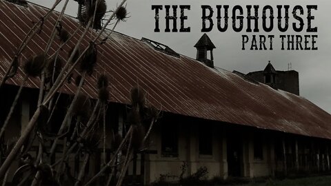 The Bughouse [part 3]