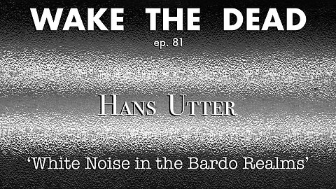 WTD ep.81 Hans Utter 'White Noise in the Bardo Realms'