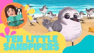 Australian Kids book read aloud - Ten Little Sandpipers by Kim Ann