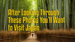 After Looking through these Photos You'll Want to Visit Japan