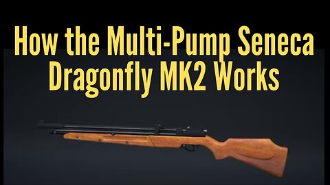 How the Multi-Pump Seneca Dragonfly MK2 Works