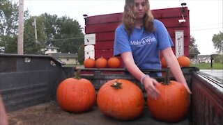 Wish Wagon: Selling pumpkins for Make-A-Wish