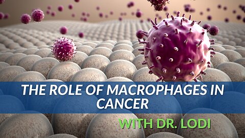 The Role Of Macrophages In Cancer