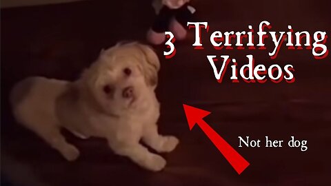 3 Terrifying Videos