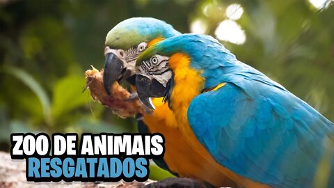 CONHEÇA o PRIMEIRO e ÚNICO ZOOLÓGICO do ESPÍRITO SANTO | Zoo Park Montanha - T2 EP.15