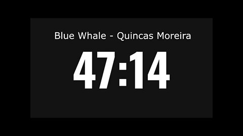 Blue Whale - Quincas Moreira (1 Hora de música)