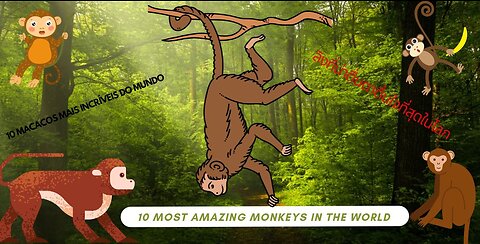 10 Most Amazing Monkeys in the World