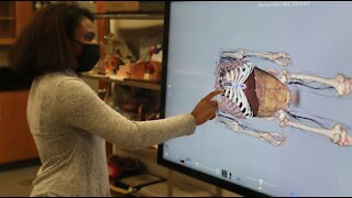 Wauwatosa West debuts new virtual cadaver