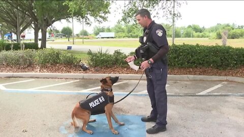 Haines City Police Department K9s have received bullet and stab protective vests