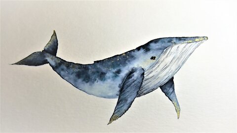 Wal malen Aquarell Wasserfarben, DIY watercolor whale painting, how to draw a whale, whale tutorial