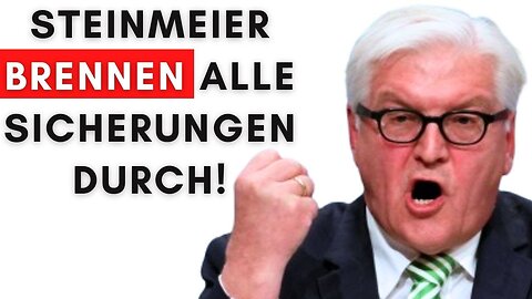EKLAT: Steinmeier beschimpft alle AfD-Wähler als Ratten!@Alexander Raue🙈
