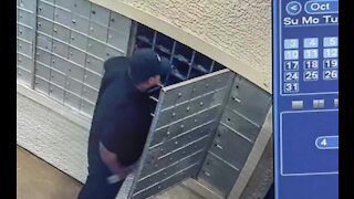 Man caught on camera allegedly stealing mail in Henderson community