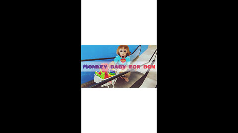 Monkey baby bon bon oes the toilet and plays with ducklings in the swimming pool