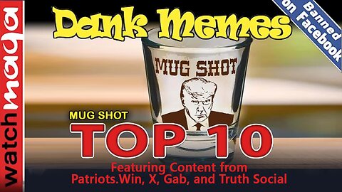 Mug Shot: TOP 10 MEMES