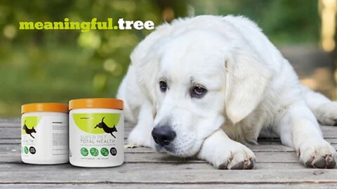 Super Pet Total Health | A NUTRITIONAL BOOST TO ENHANCE OUR PET’S OVERALL HEALTH.