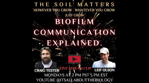 Biofilm Communication Explained
