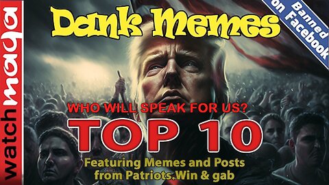 Who Will Speak for Us: TOP 10 MEMES