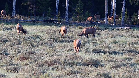 Sunrise in the Bighorns part 2 14 June, 2023