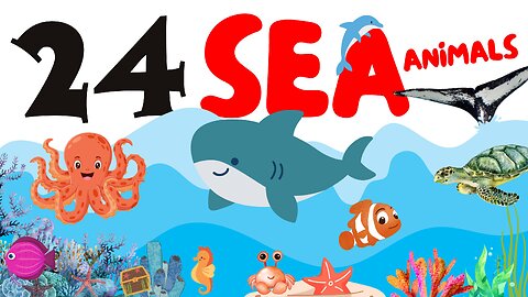 24 Sea Star Animals for Kids | Everything You Didn’t know About Sea Animal