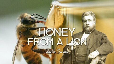 Honey From a Lion by Charles Spurgeon