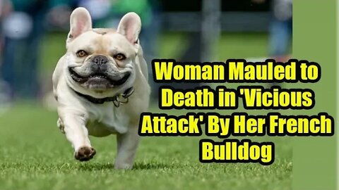 Woman Mauled to Death in Vicious Attack By Her French Bulldog