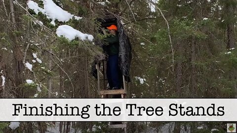 Episode 23 - Finishing The Tree Stands