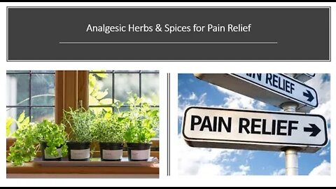 Analgesics - Herbal Pain Killers