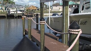 Large fish kill found in Cape Coral Canal