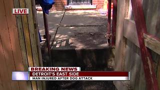 Detroit man mauled by dog on city's east side