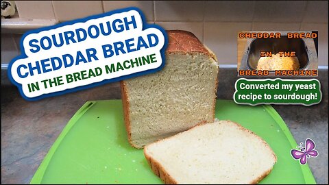 Sourdough Cheddar Bread in the Bread Machine! Converting my Yeast Recipe to Sourdough!