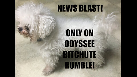 Rumble/Odysee/Bitchute Exclusive News Blast! March 20th, 2024