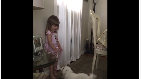 Puppy with zoomies adorably entertains laughing toddler
