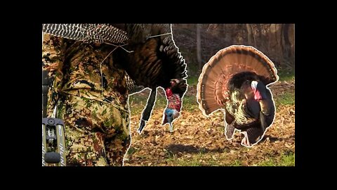 Butterball Tom With A Bow - Spring Turkey Hunting