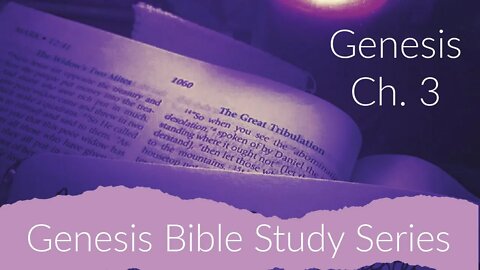 Genesis Ch. 3 Bible Study -- God's Mercy in Judgement