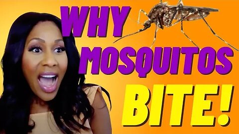 Why Do Mosquitos Bite Some People and Not Others? Why Do Mosquito Bites Itch? A Doctor Explains